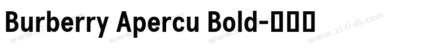Burberry Apercu Bold字体转换